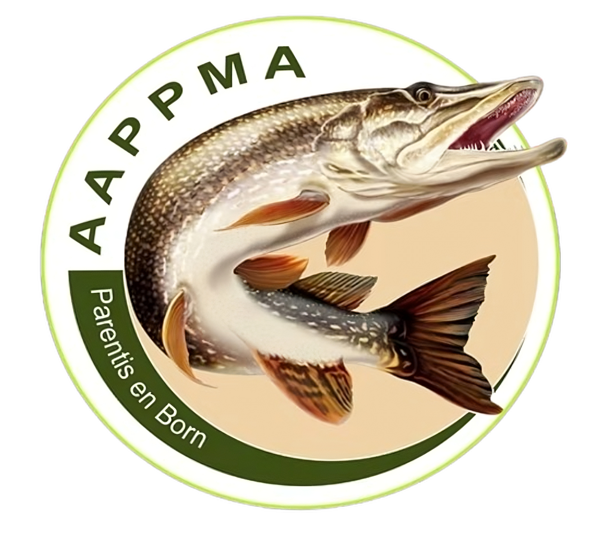AAPPMA Logo