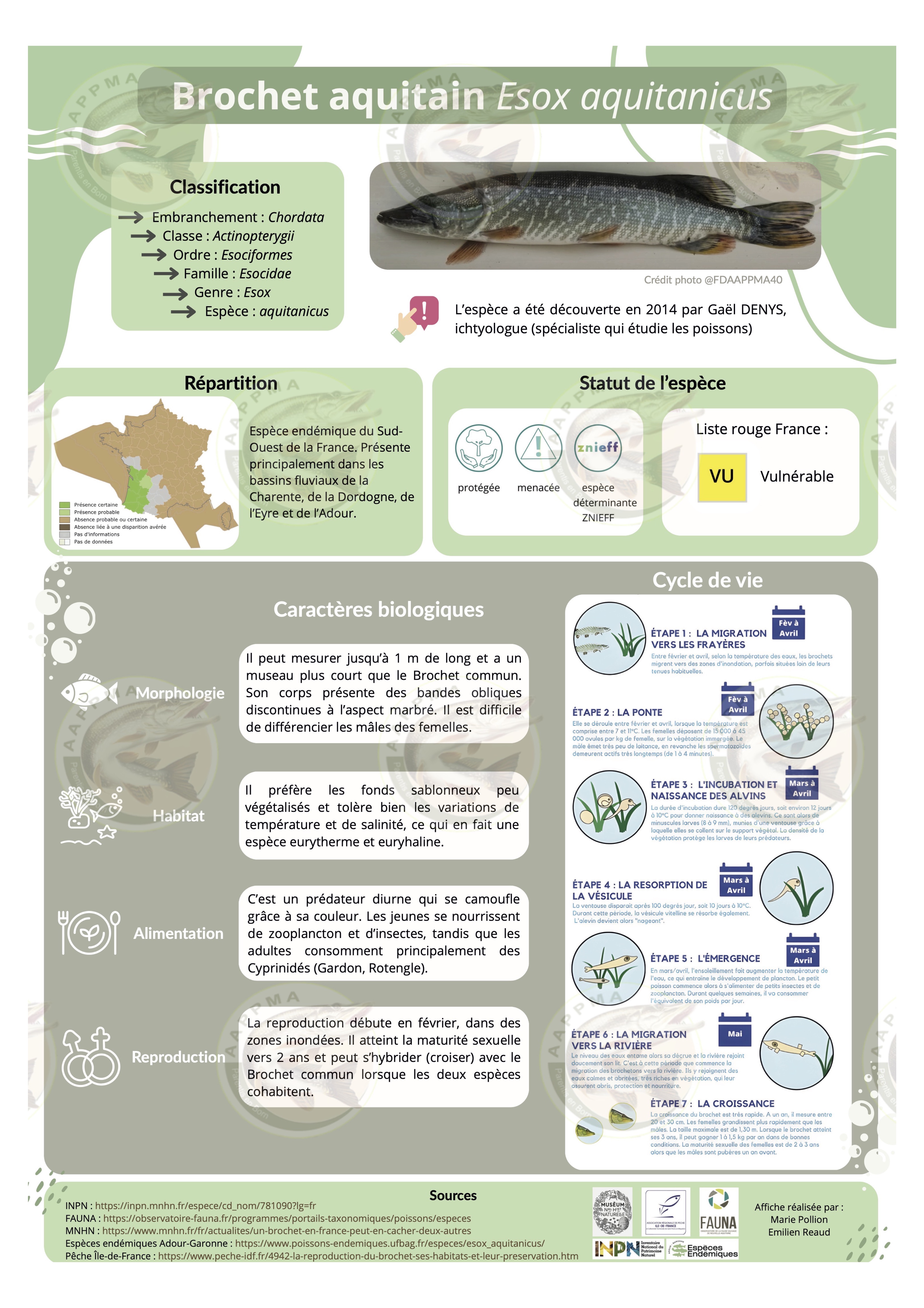 Affiche Brochet Aquitain