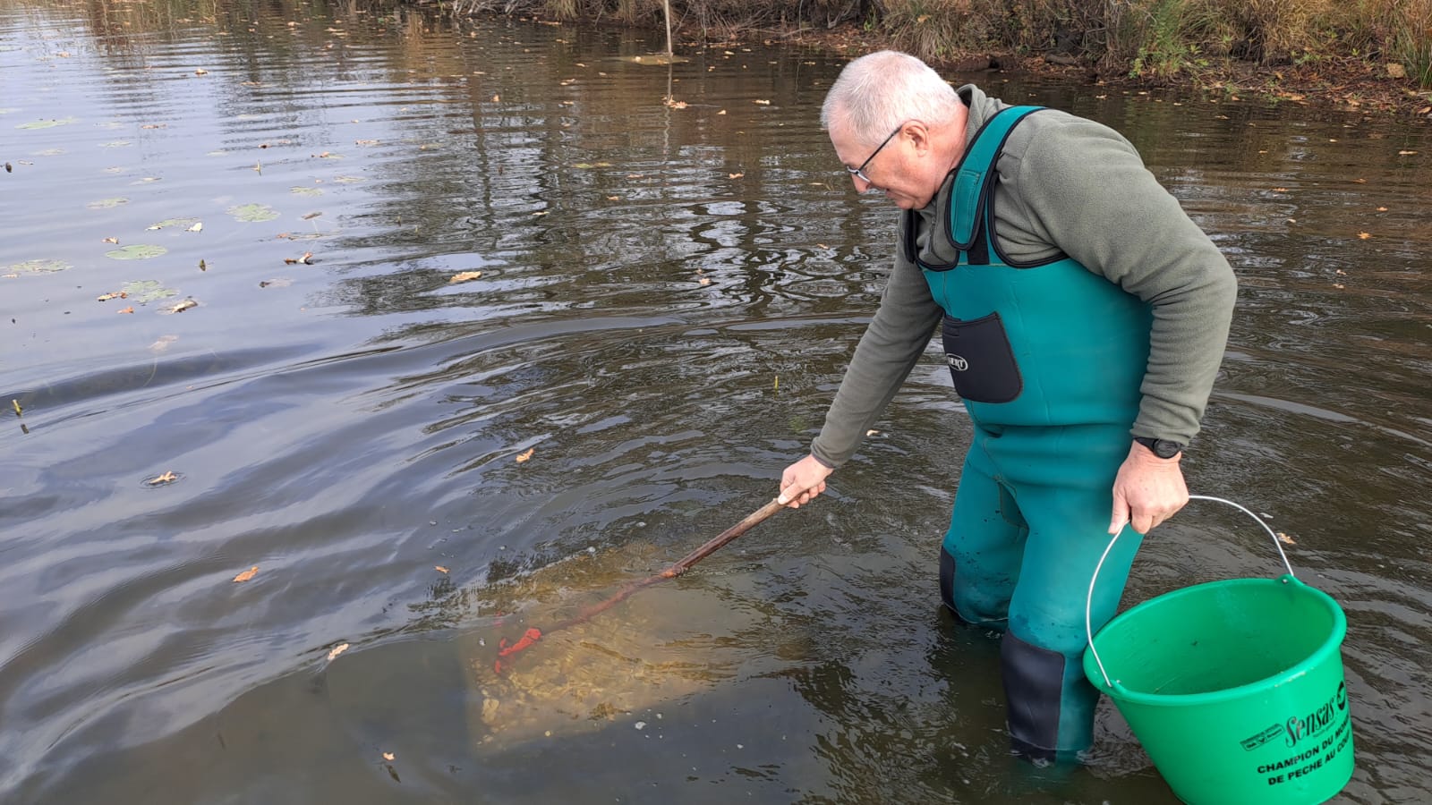 Nettoyage des frayères
