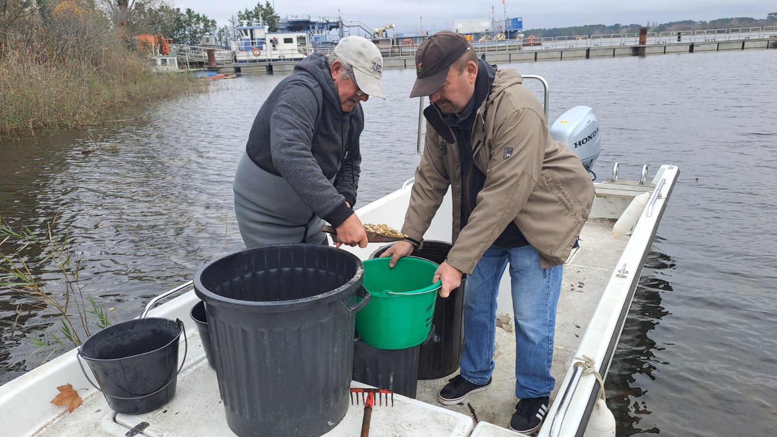 Remplacement du gravier